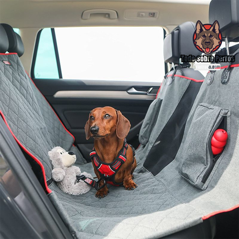 funda_protectora_para_coche_para_perro_abczoo.jpg