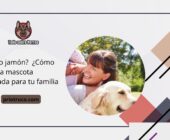 ¿Miau o jamón?  ¿Cómo eliges la mascota adecuada para tu familia?