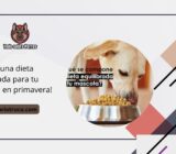 ¡Adopta una dieta equilibrada para tu mascota en primavera!