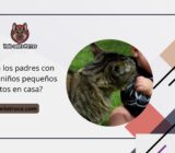 ¿Pueden los padres con bebés o niños pequeños tener gatos en casa?