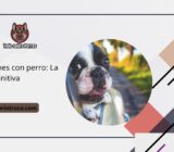 Vacaciones con perro: La guía definitiva | Consejos