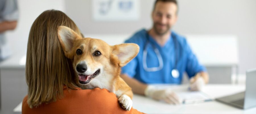 ¿Cómo ganar clientela en Internet cuando acaba de abrir su consulta veterinaria?